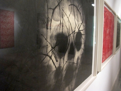 exposicion-Oaxaca